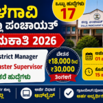 Zilla panchayat job